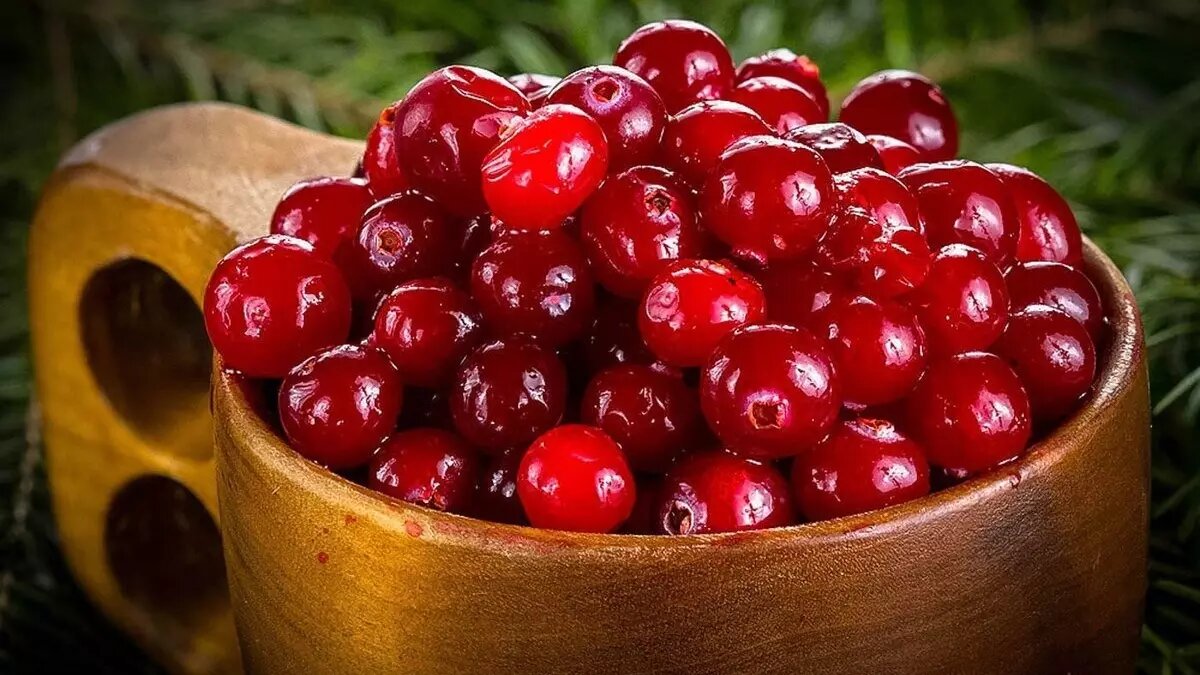     Почему стоит включать клюкву в свой рацион? Она помогает чуть ли не от всех недугов, особенно в зимний период. В целебной ягоде содержатся витамины С, Е, К1, РР, все витамины группы В. Как правильно употреблять «волшебную» клюкву и всем ли она несет пользу — в материале «НИ».