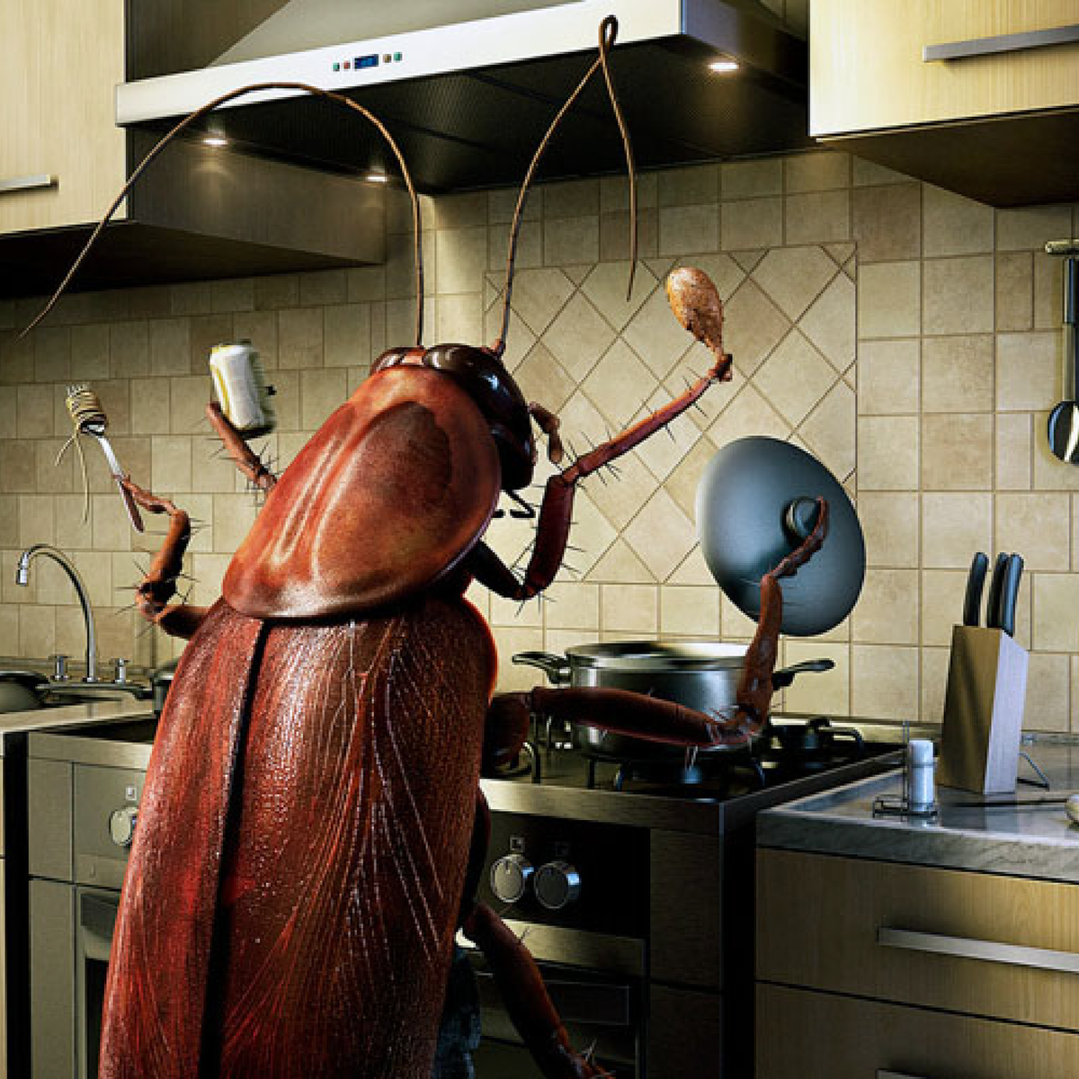 Фото взято из открытого источника Яндекс Картинки