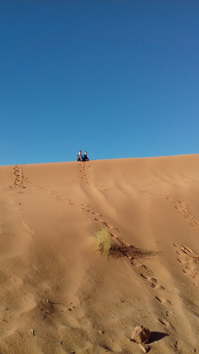 Вот с таких барханов мы летели на джипе