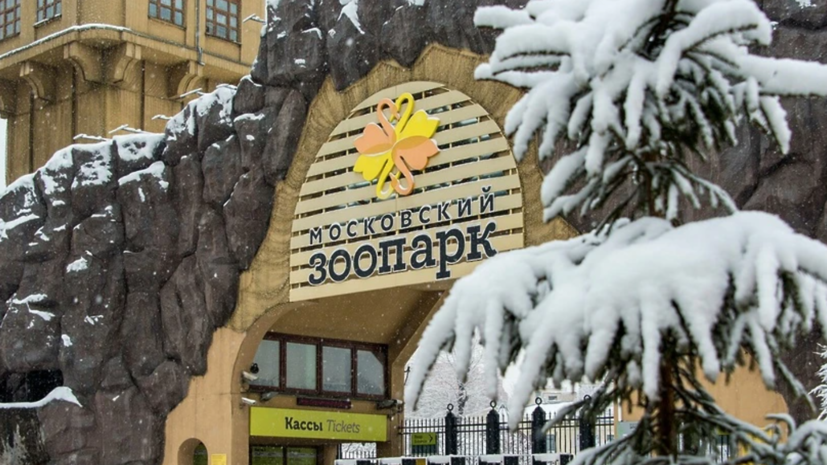    Сайт мэра Москвы