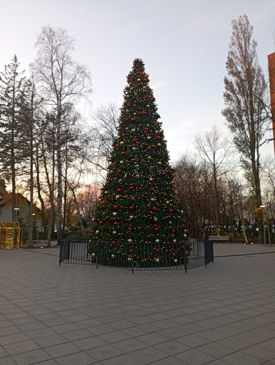 Первая моя НГ елка в этом году. Зеленоградск. 