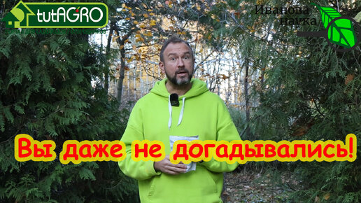 6 ВОПРОСОВ и ОТВЕТОВ о ТРИХОДЕРМЕ и БОВЕРИИ: они опасны? закисляют почву? и многое другое.