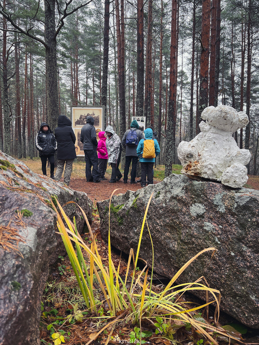 Деревня марьина гора. Марьина гора коттеджный поселок. Усадьба мариоки в зеленогорске. Деревня марьина гора. Марьина гора сургут.