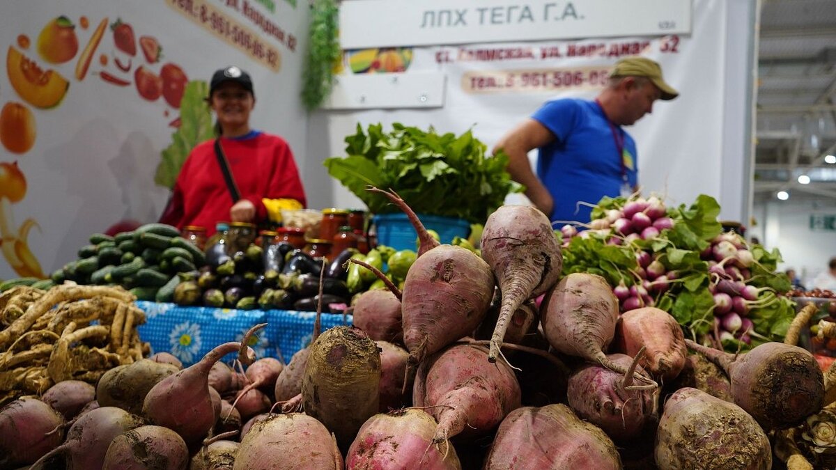    В Краснодаре на 5 дней откроется специальная новогодняя «Кубанская ярмарка» Архивное фото: Телеканал «Краснодар»