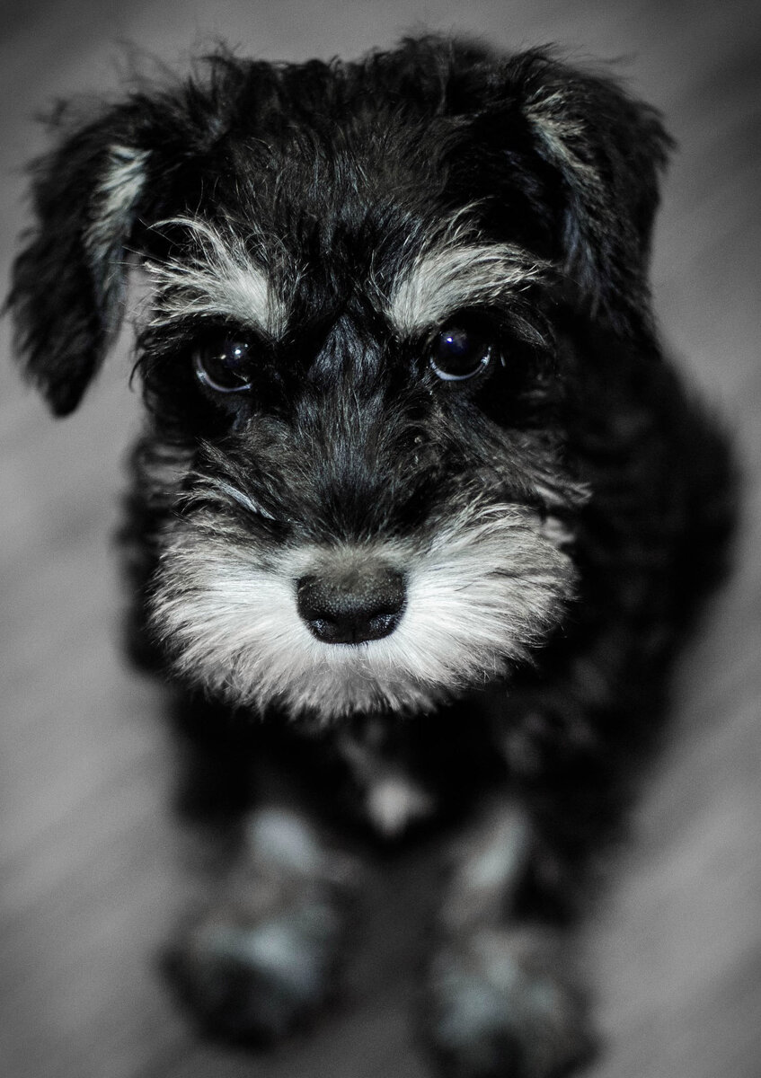 Тот самый носик