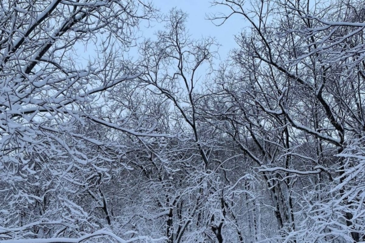    В Камчатском крае 14 декабря объявлено штормовое предупреждение