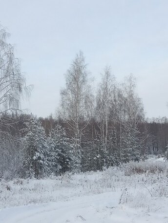 Фотография из личного архива автора