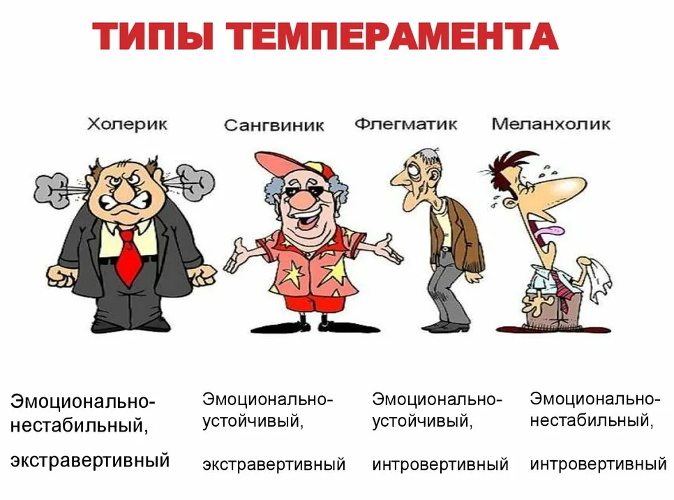 Типы темперамента книги. Типы темперамента. темперамент картинки. сангвиник иллюстрация. учитель холерик.
