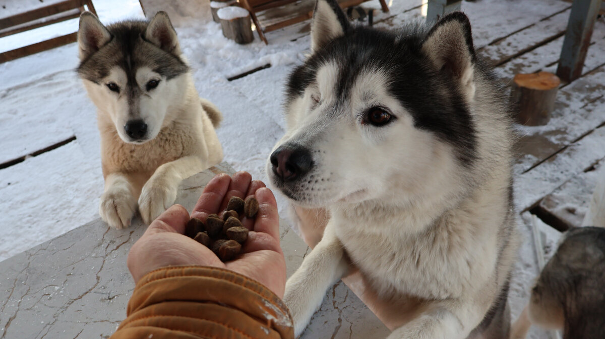 ну-ка, ну-ка, что это тут?