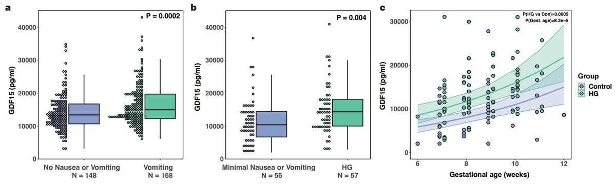   M. Fejzo et al. / Nature, 2023