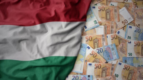    СМИ: Евросоюз разморозит для Венгрии €10 миллиардов Анастасия Романова