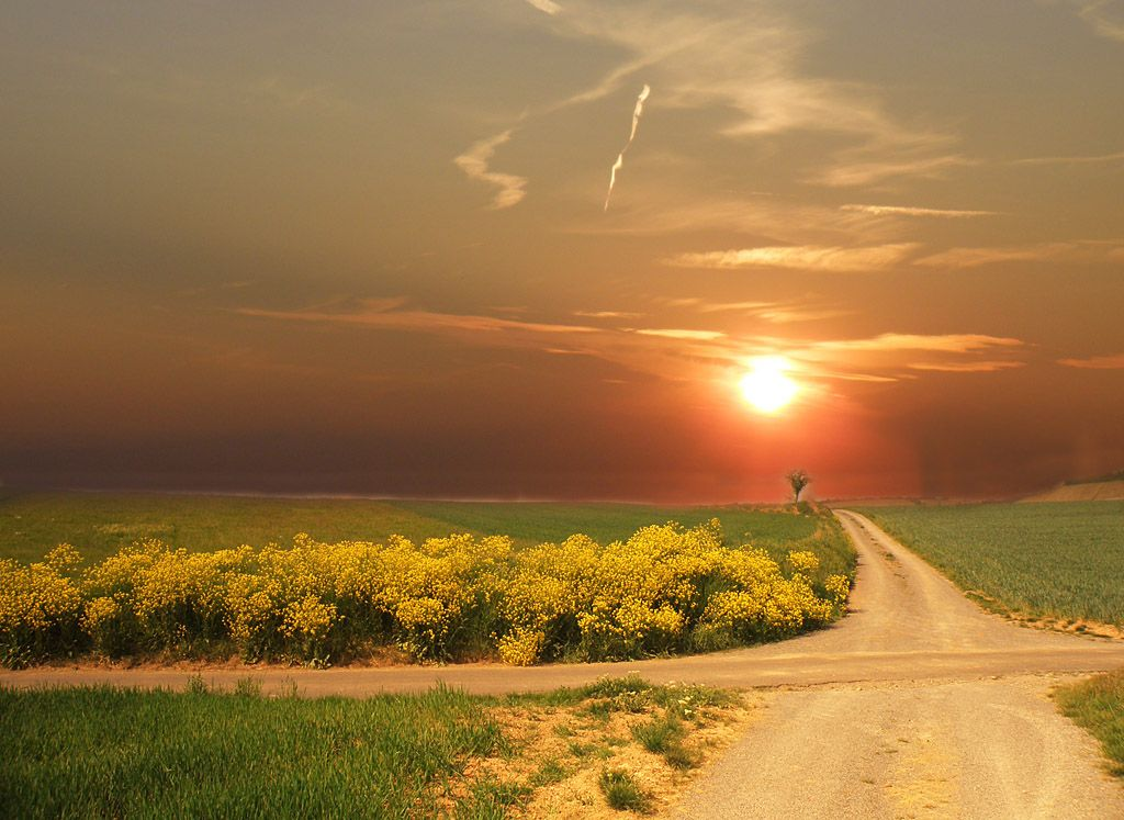 Виктория качур певица. Судьбу не изменить качур. Дорога на рассвет. Судьбу не изменить качур. Судьбу не изменить качур.