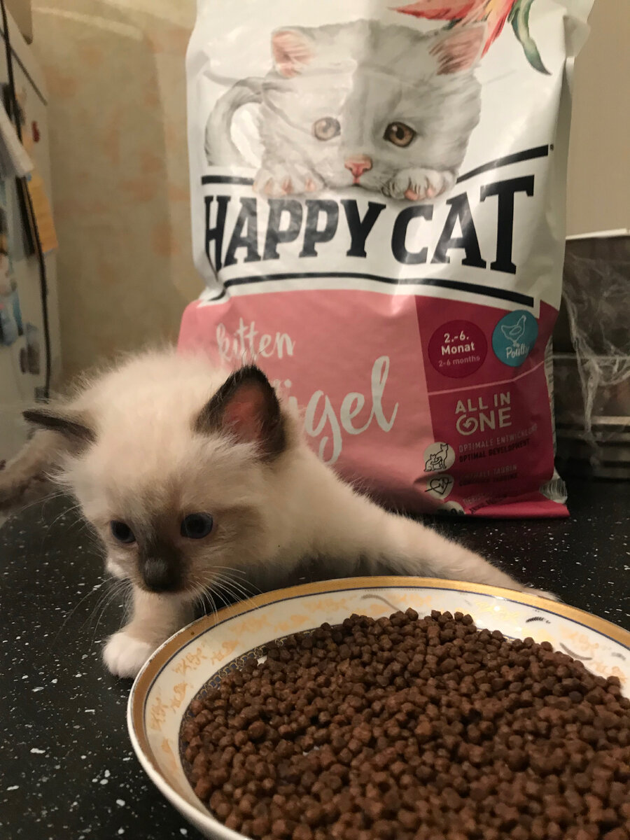 Ели мы его около 4 лет инас он очень устраивал