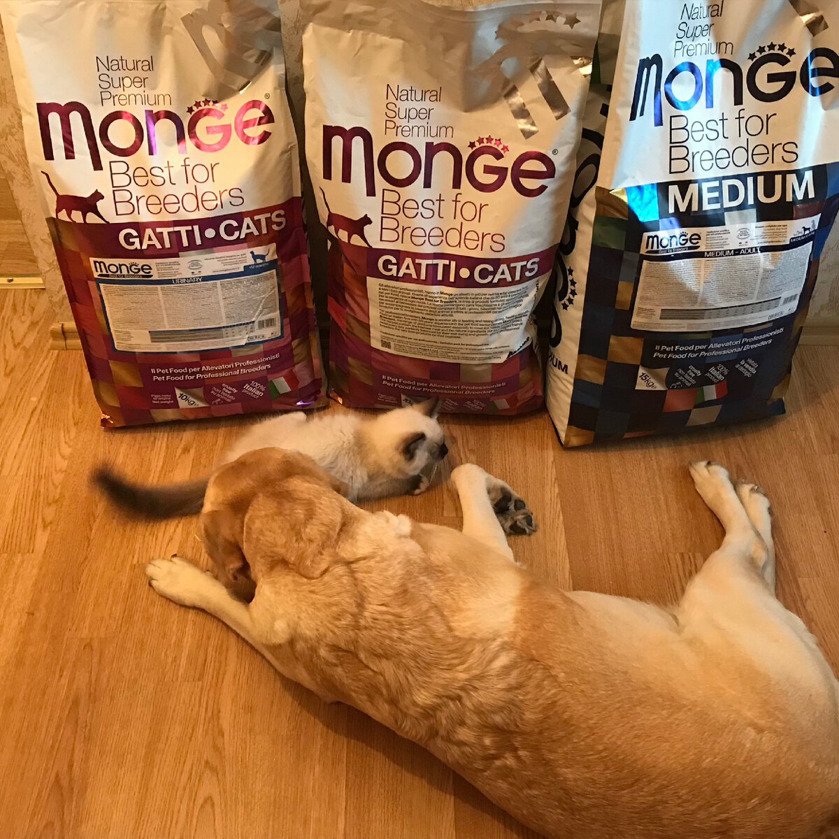 До Хэппикета мы ели Монж, тоже хороший. Мы бы вернулись к нему, но он тоже летом ушел с российского рынка(((