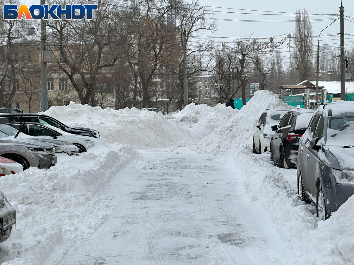 Как Воронеж выживает в снежном плену второй день подряд | Блокнот Воронеж |  Дзен