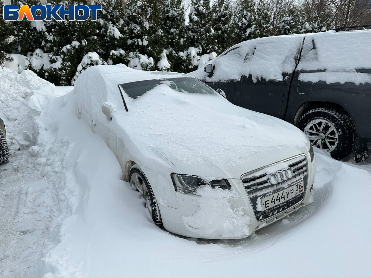 Зима уже плотно укутала все