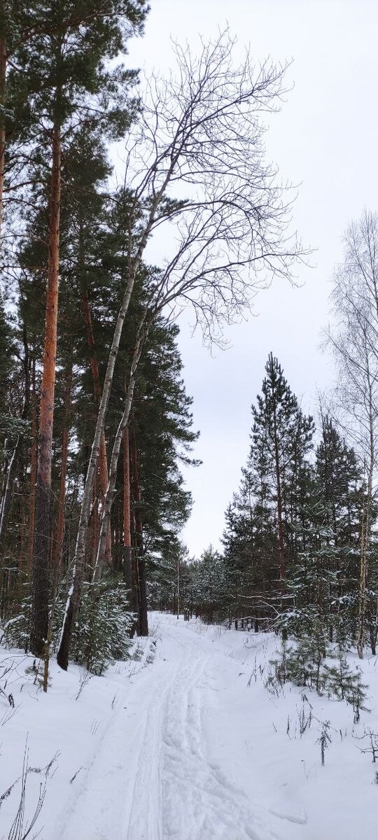 Моё любимое место. Там ещё едешь с бугорка. 