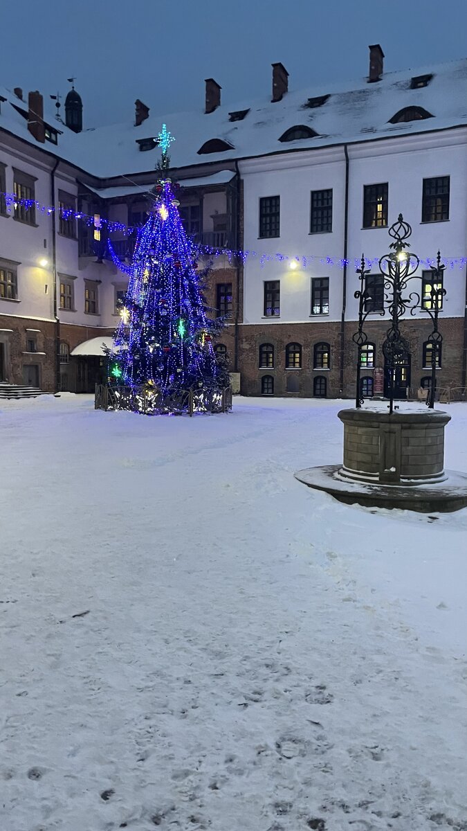 Красивейшая живая ель