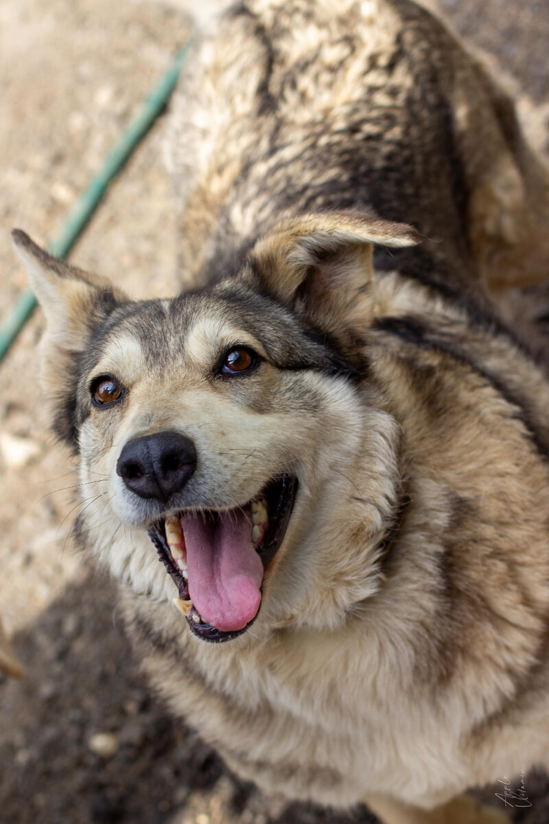 А вдруг именно сейчас у кого-то не поднимется рука вернуть такую ...