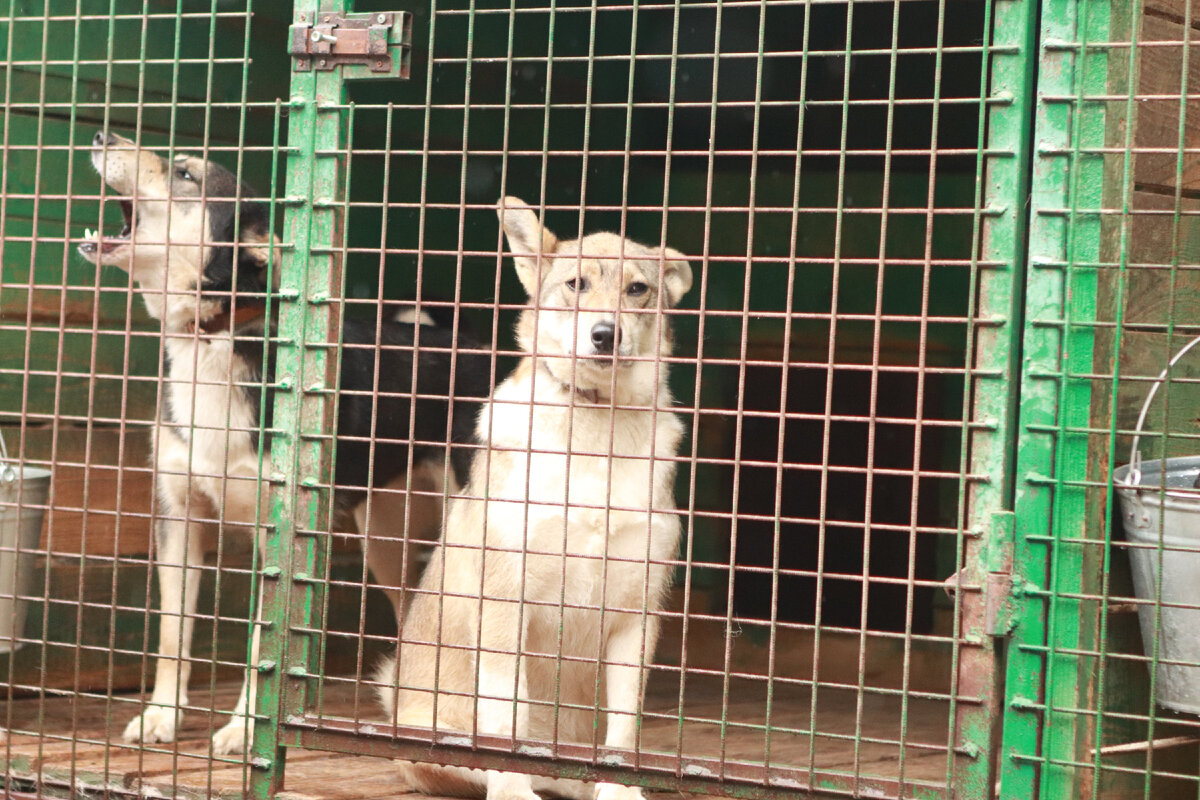 А вдруг именно сейчас у кого-то не поднимется рука вернуть такую ...