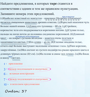 Балл за задание 21 получен 