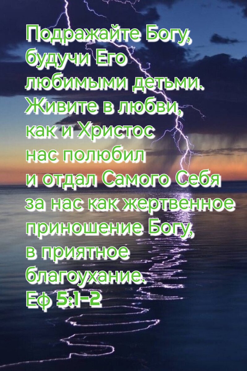 Ежедневное чтение Библии. 14 Декабря. | Мир Библии | Дзен