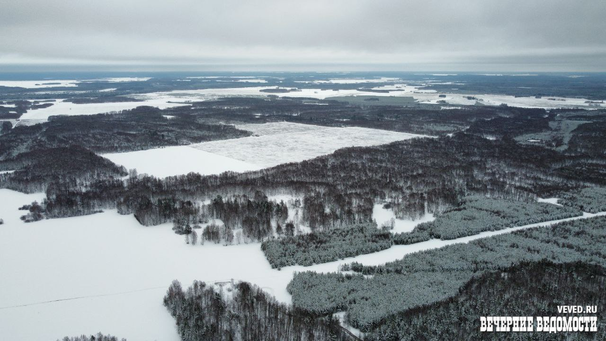 Фото: Вечерние ведомости