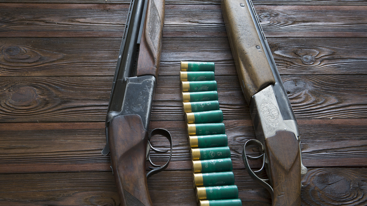 © NIKOLAY GYNGAZOV/GLOBALLOOKPRESS 