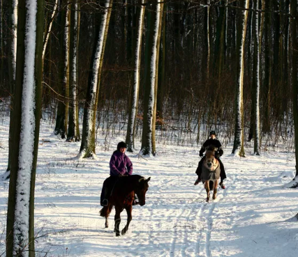 яндекс