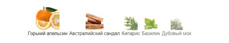 fragrantica.ru