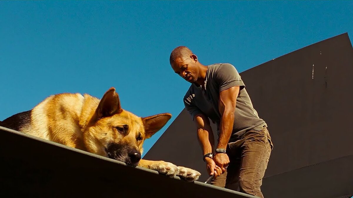 Я - Легенда i am Legend (2007). Уилл Смит Легенда. Я Легенда фильм 2007 собака.