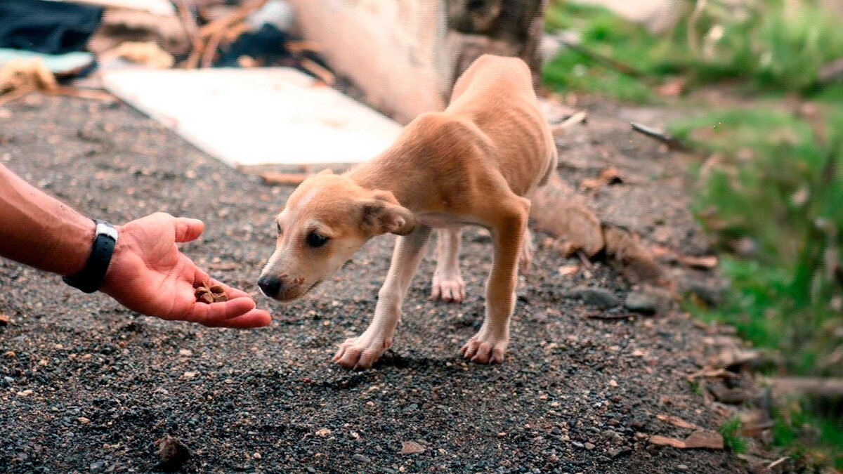 источник фото: mykaleidoscope.ru