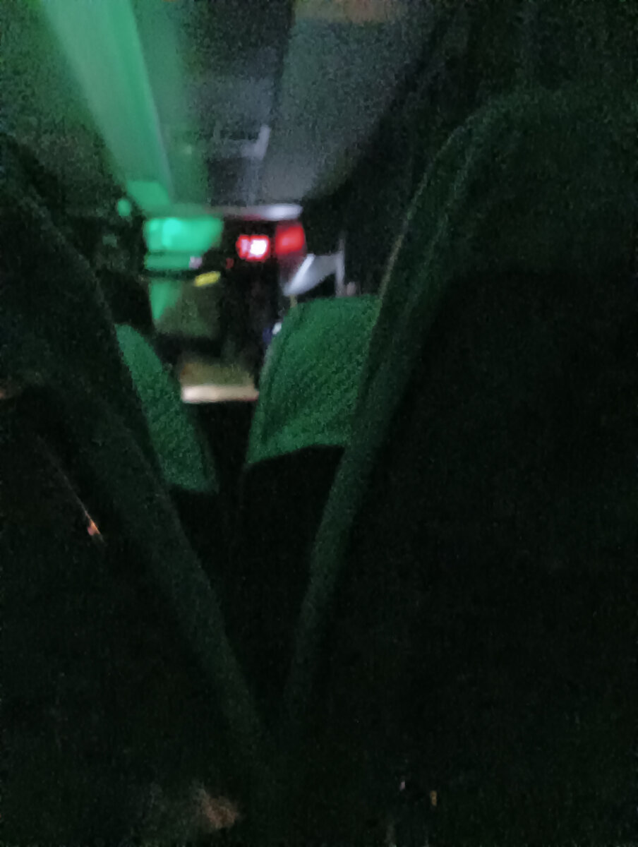 Автобус мчит меня домой . 