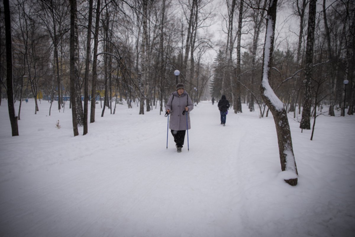 Аиф новосибирск дзен