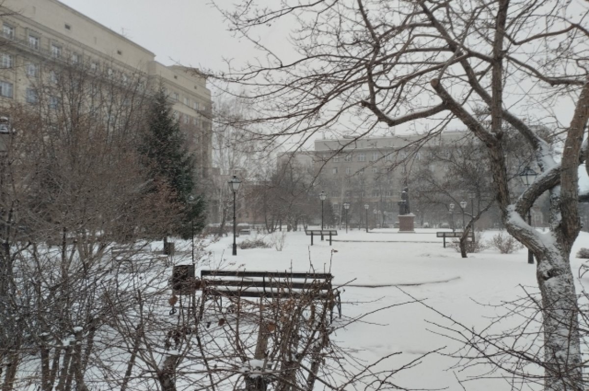    Потепление до 0 градусов придет во второй половине декабря в Новосибирск