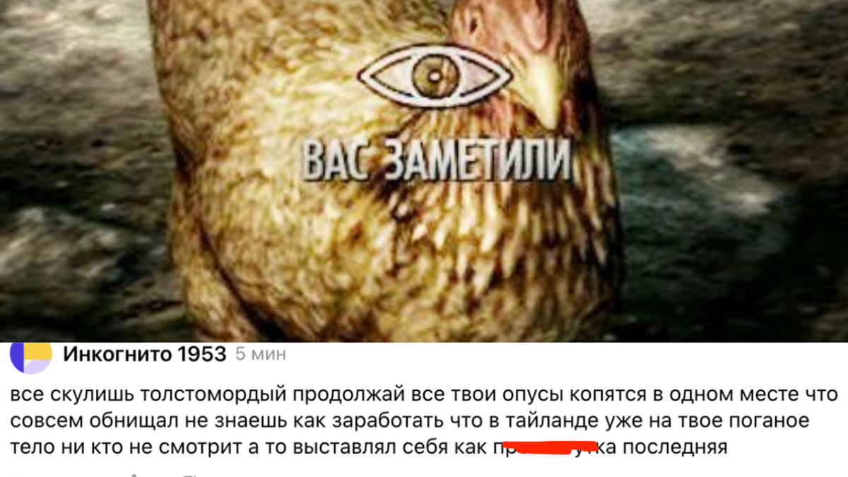 Как набрать 50000 подписчиков на Дзене, не привлекая внимания санитаров |  Графомания Лысого | Дзен