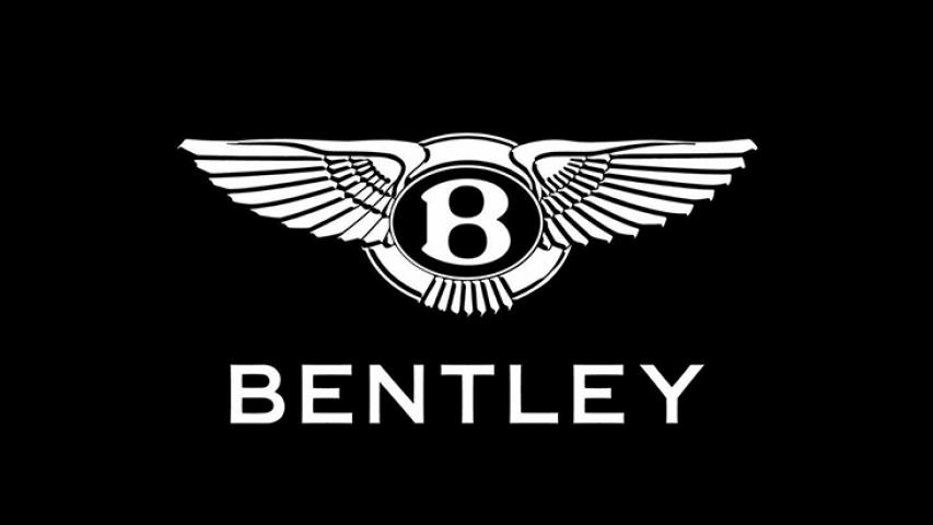 Рис. 1. Комбинация словесных и изобразительных брендов автомобилей