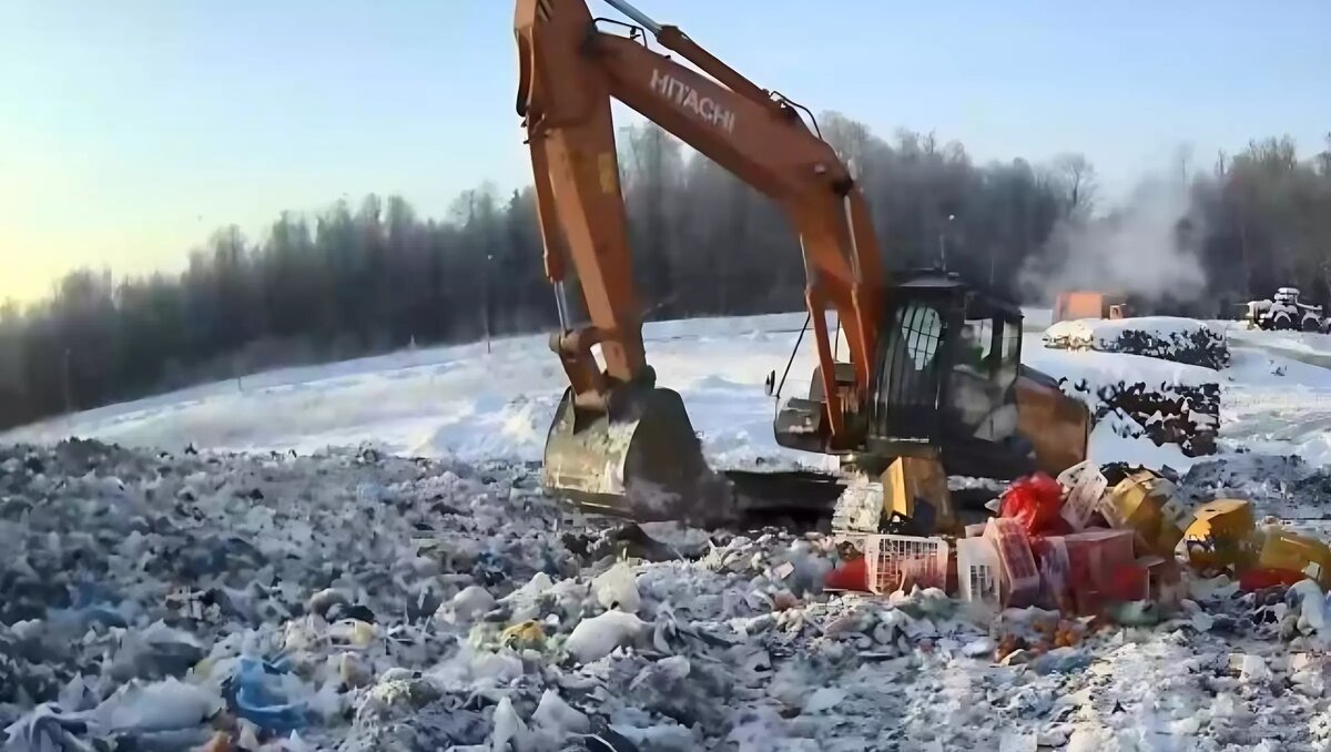     Цитрусовые находились на оптовом рынке.