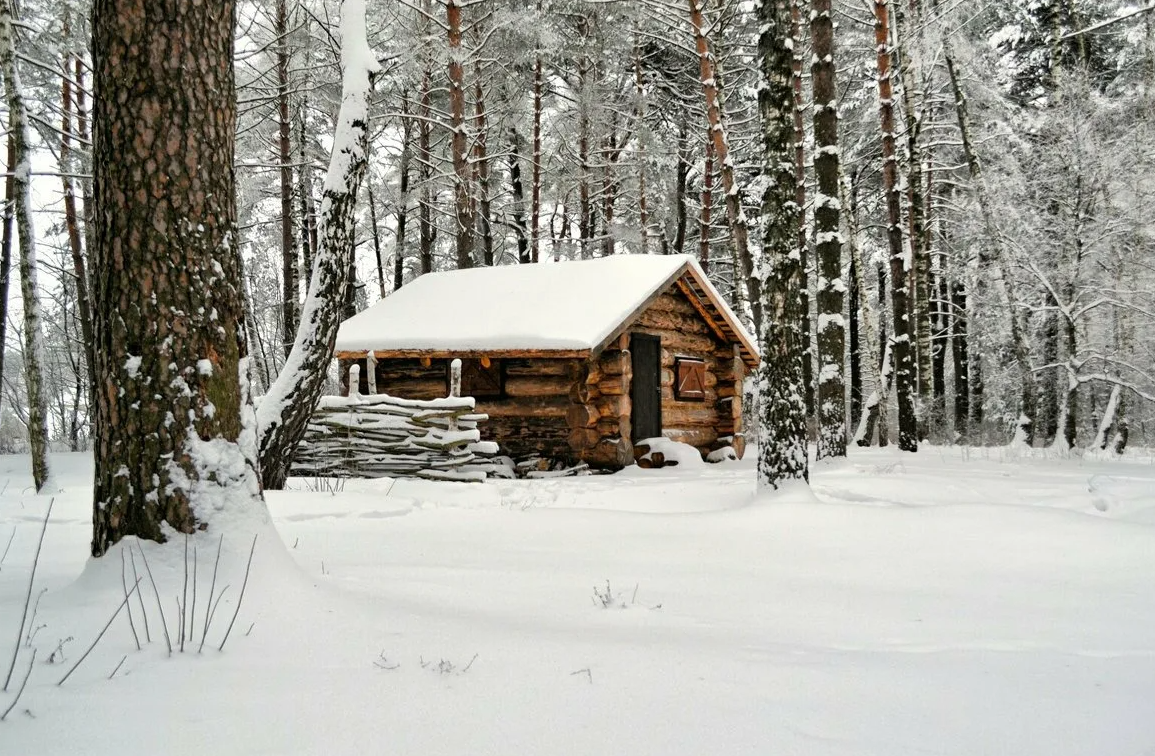 Яндекс картинки