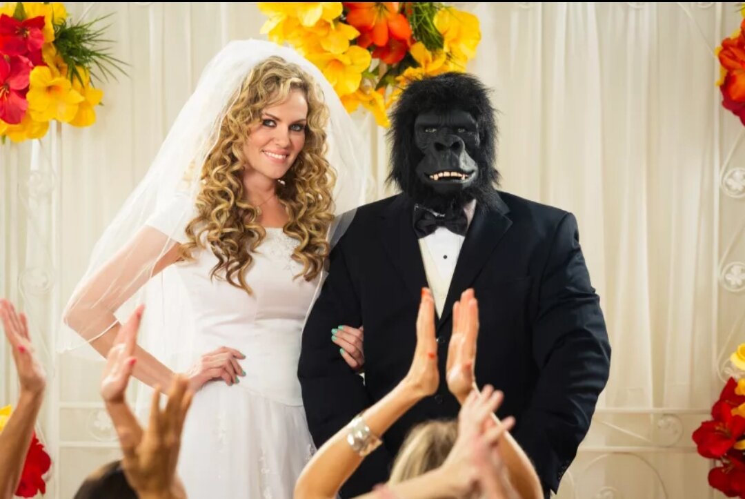 Браки мужчин обезьян. Свадьба обезьян. Обезьянки в свадебных нарядах. Обезьянка в свадебном платье. Обезьяна невеста.