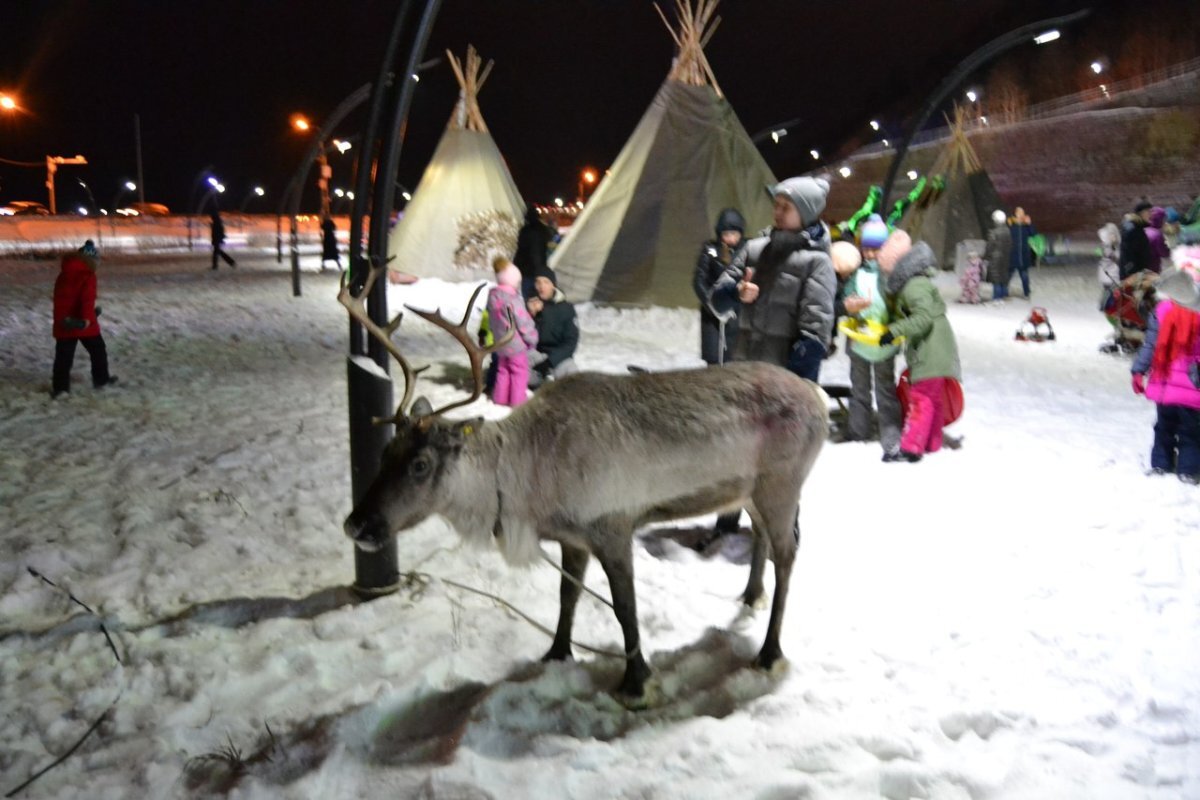    В городе откроют праздничные площадки.