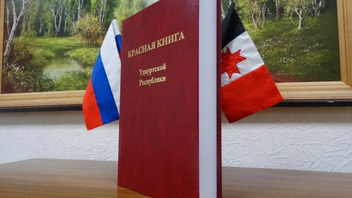     В Удмуртии по требованию прокуратуры выпустили новое издание Красной книги. В новую версию вошли 398 видов редких и исчезающих растений, лишайников, грибов и животных.