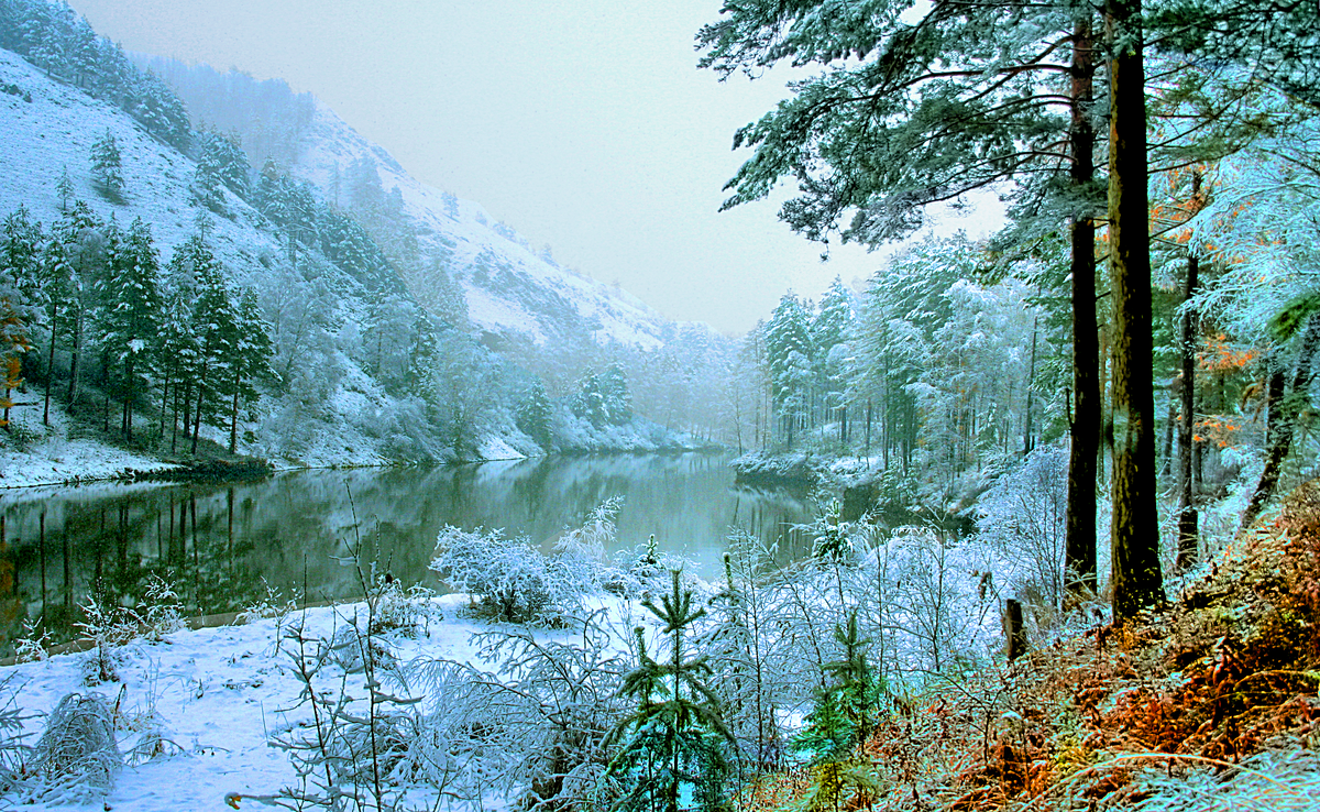 Фотография, стихотворение Василия Глуцкого