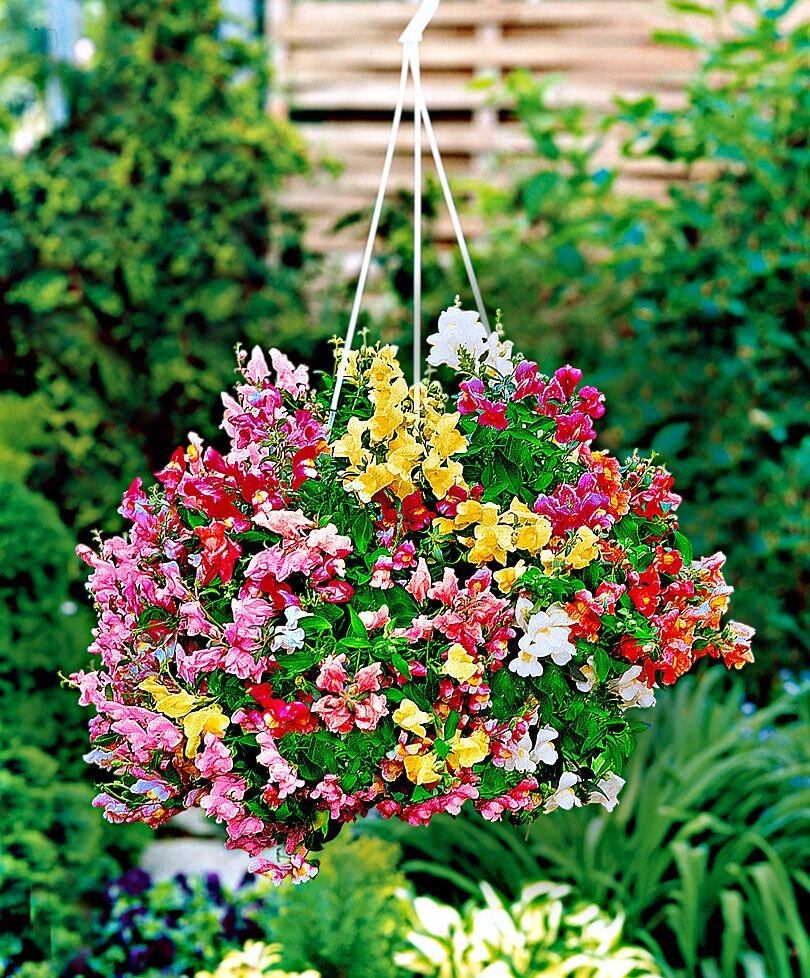 ссылка на изображение https://markik.ru/800/600/https/i.pinimg.com/originals/99/ff/42/99ff429528360100ff0c7af96d4cfed4.jpg