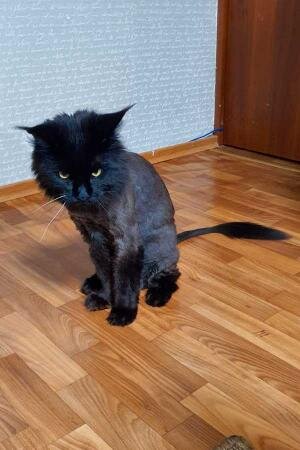 Фото после..