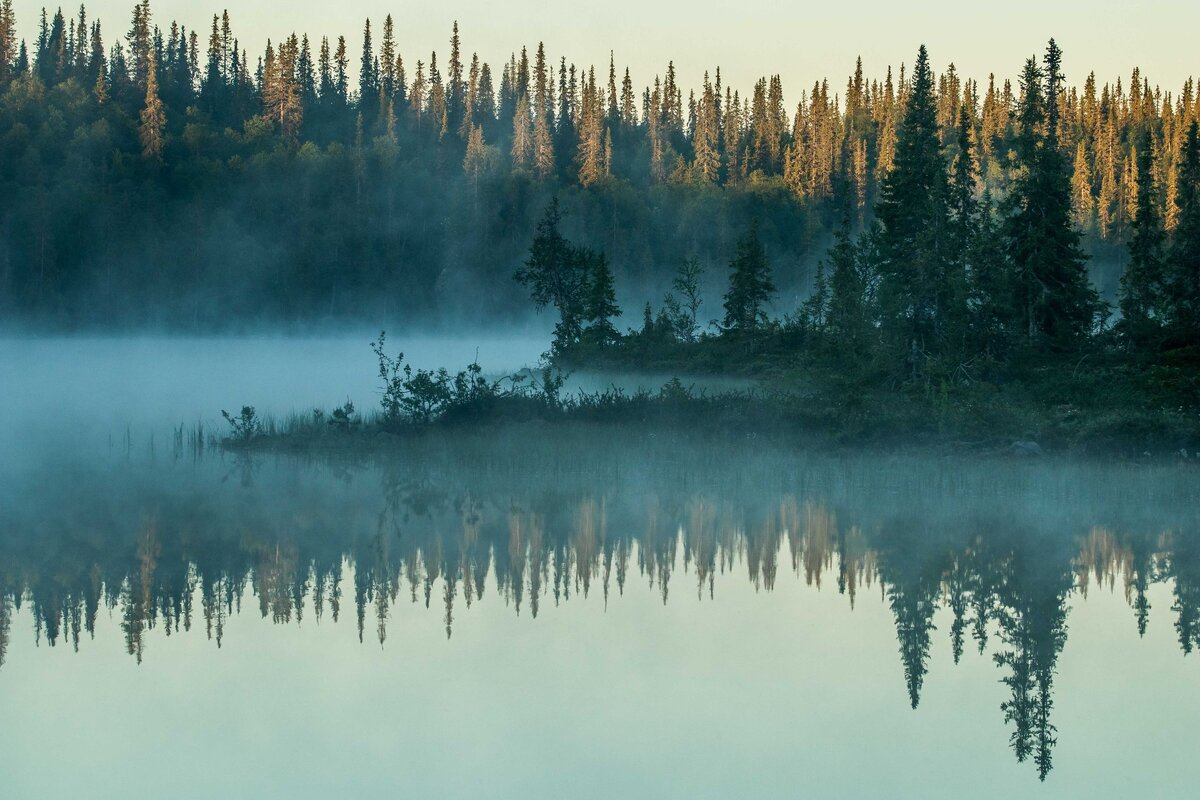 Большая научная экспедиция📷Лапландский природный заповедник в Мурманской области