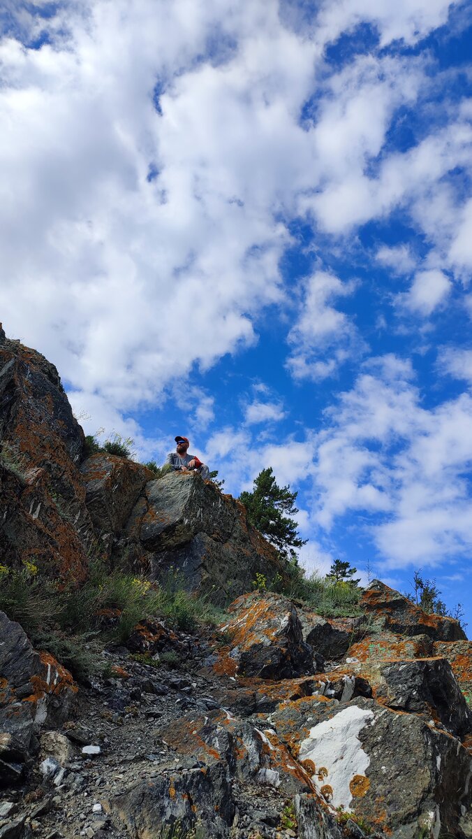Высоко сижу, далеко гляжу...