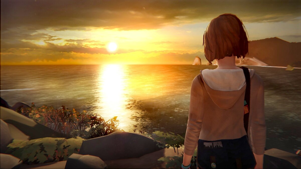 Фото из интернета 