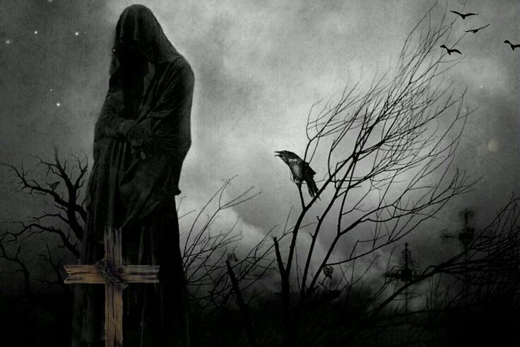 Фото из интернета 