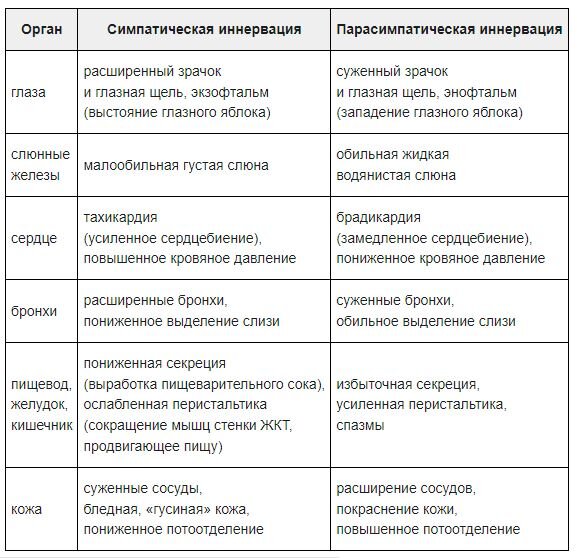 Что такое вегетососудистая дистония (ВСД)?